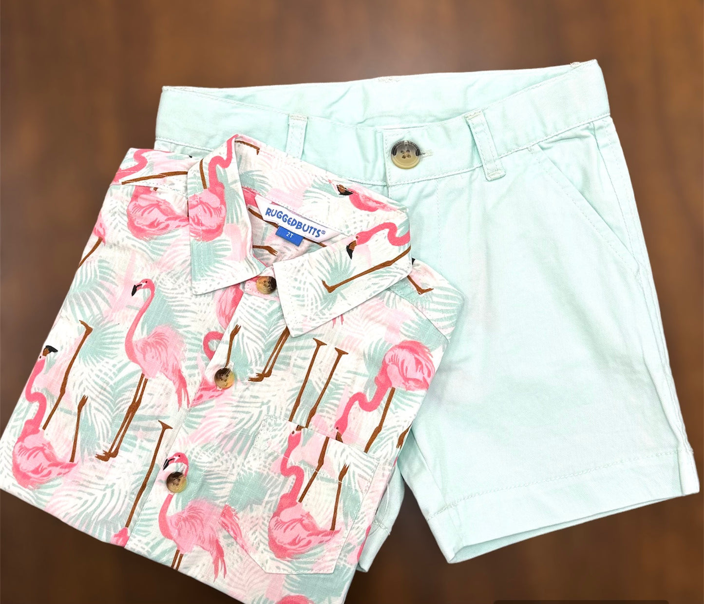 Mint Stretch Chino Shorts