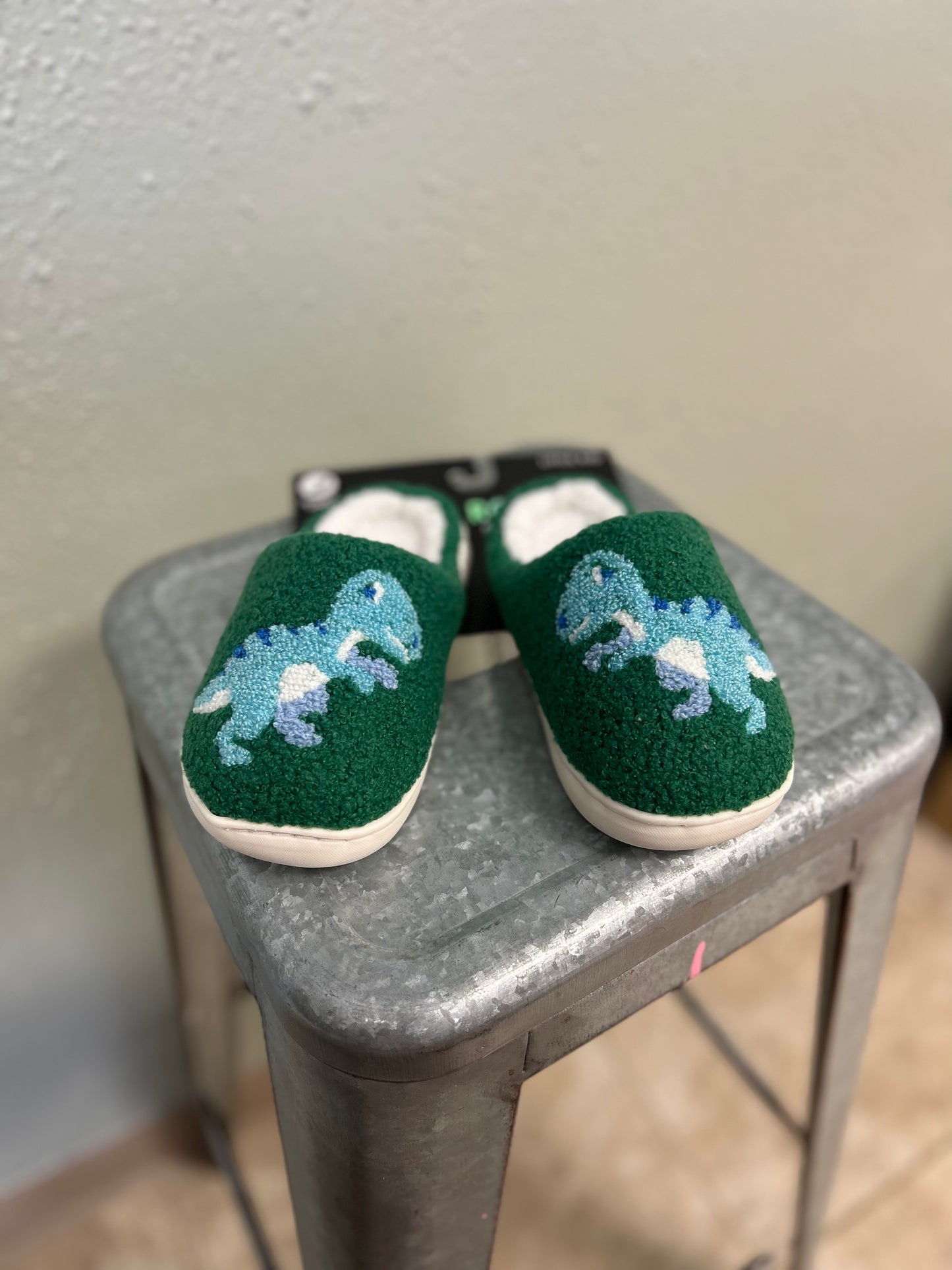 Dinosaur Slippers